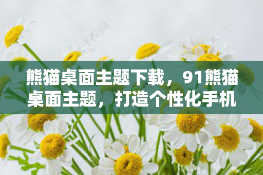 熊猫桌面主题下载，91熊猫桌面主题，打造个性化手机界面的艺术之旅