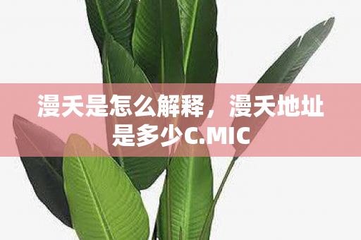 漫夭是怎么解释，漫夭地址是多少C.MIC