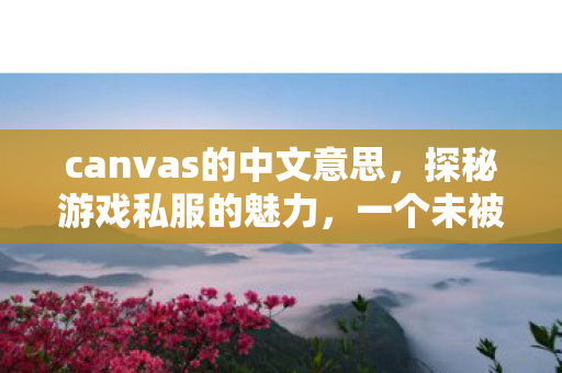 canvas的中文意思，探秘游戏私服的魅力，一个未被官方认可的游戏世界