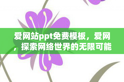 爱网站ppt免费模板，爱网，探索网络世界的无限可能