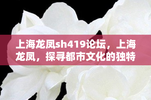 上海龙凤sh419论坛，上海龙凤，探寻都市文化的独特魅力