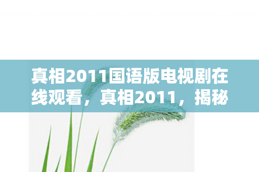 真相2011国语版电视剧在线观看，真相2011，揭秘游戏服务器背后的运营秘密