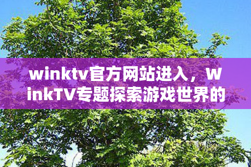 winktv官方网站进入，WinkTV专题探索游戏世界的多元体验，从官方到非官方的奇妙旅程