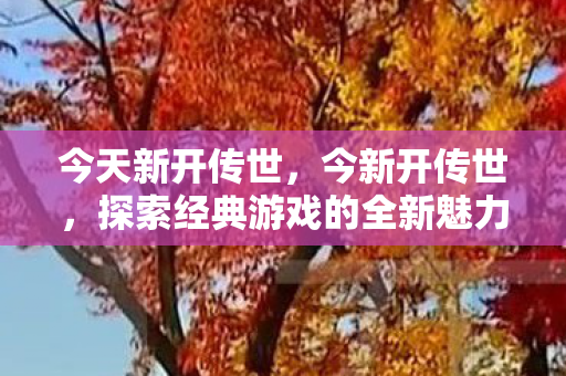 今天新开传世，今新开传世，探索经典游戏的全新魅力
