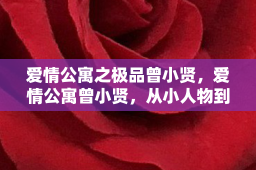 爱情公寓之极品曾小贤，爱情公寓曾小贤，从小人物到大明星的蜕变