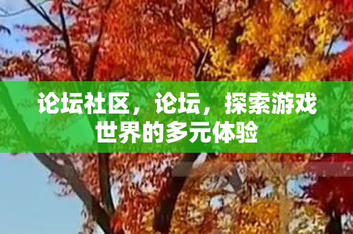 论坛社区，论坛，探索游戏世界的多元体验