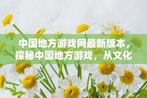 中国地方游戏网最新版本，探秘中国地方游戏，从文化瑰宝到娱乐新宠