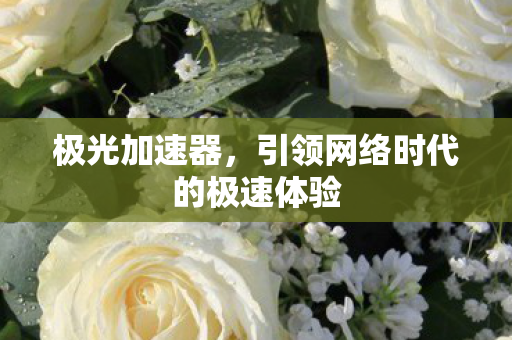 极光加速器,引领网络时代的极速体验 极光加速器,引领网络时代的极速体验