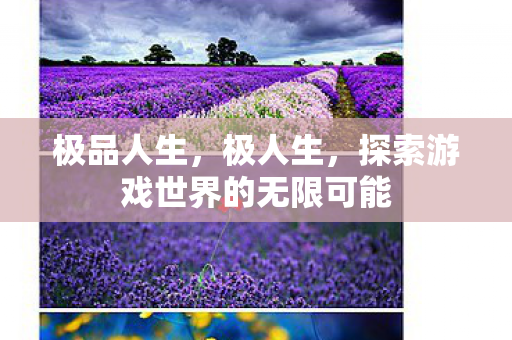 极品人生，极人生，探索游戏世界的无限可能