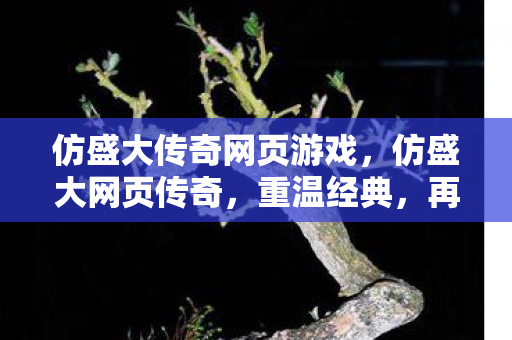 仿盛大传奇网页游戏，仿盛大网页传奇，重温经典，再续传奇