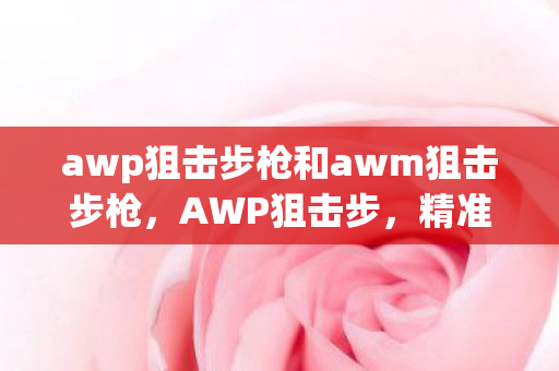 awp狙击步枪和awm狙击步枪，AWP狙击步，精准与速度的完美结合