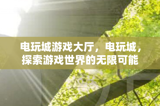 电玩城游戏大厅，电玩城，探索游戏世界的无限可能