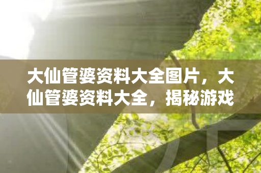 大仙管婆资料大全图片，大仙管婆资料大全，揭秘游戏世界的独特策略与技巧
