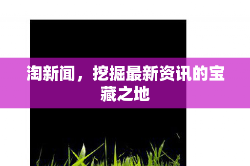 淘新闻,挖掘最新资讯的宝藏之地 淘新闻,挖掘最新资讯的宝藏之地