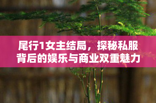 尾行1女主结局，探秘私服背后的娱乐与商业双重魅力