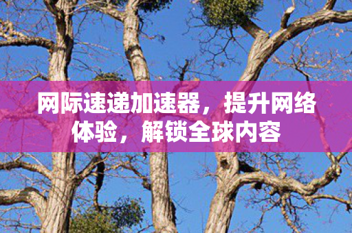 网际速递加速器，提升网络体验，解锁全球内容