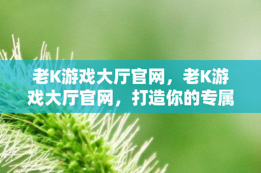 老K游戏大厅官网，老K游戏大厅官网，打造你的专属游戏乐园