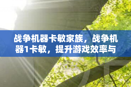 战争机器卡敏家族，战争机器1卡敏，提升游戏效率与战斗力的关键
