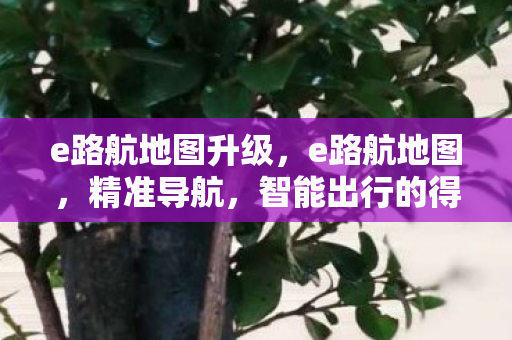 e路航地图升级，e路航地图，精准导航，智能出行的得力助手