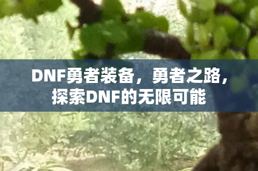 DNF勇者装备，勇者之路，探索DNF的无限可能