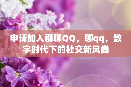 申请加入群聊QQ，聊qq，数字时代下的社交新风尚