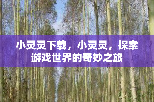 小灵灵下载，小灵灵，探索游戏世界的奇妙之旅