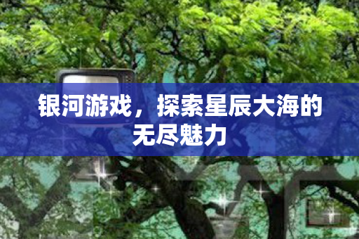 银河游戏，探索星辰大海的无尽魅力