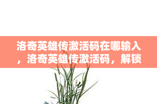 洛奇英雄传激活码在哪输入，洛奇英雄传激活码，解锁冒险之旅的钥匙