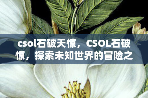 csol石破天惊，CSOL石破惊，探索未知世界的冒险之旅
