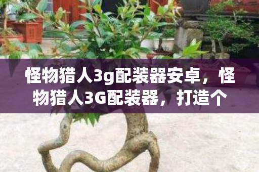 怪物猎人3g配装器安卓，怪物猎人3G配装器，打造个性化装备，提升狩猎体验