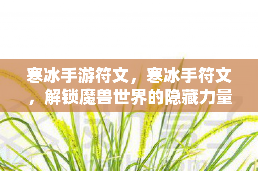 寒冰手游符文，寒冰手符文，解锁魔兽世界的隐藏力量