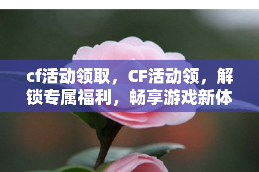 cf活动领取，CF活动领，解锁专属福利，畅享游戏新体验