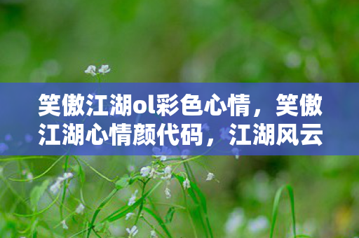 笑傲江湖ol彩色心情，笑傲江湖心情颜代码，江湖风云，心情如颜