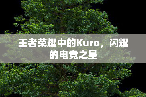 王者荣耀中的Kuro，闪耀的电竞之星