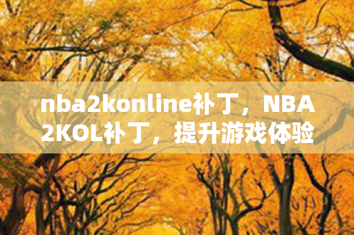 nba2konline补丁，NBA2KOL补丁，提升游戏体验的必备神器