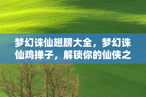 梦幻诛仙翅膀大全，梦幻诛仙鸡掸子，解锁你的仙侠之旅