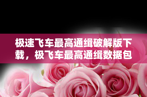 极速飞车最高通缉破解版下载，极飞车最高通缉数据包，解锁速度与激情的密钥