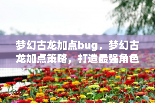 梦幻古龙加点bug，梦幻古龙加点策略，打造最强角色，畅游江湖