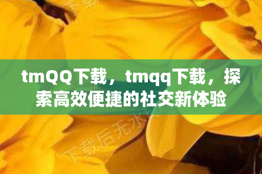 tmQQ下载，tmqq下载，探索高效便捷的社交新体验