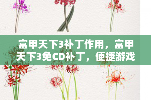 富甲天下3补丁作用，富甲天下3免CD补丁，便捷游戏体验的合法选择