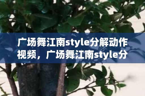 广场舞江南style分解动作视频，广场舞江南style分解动作
