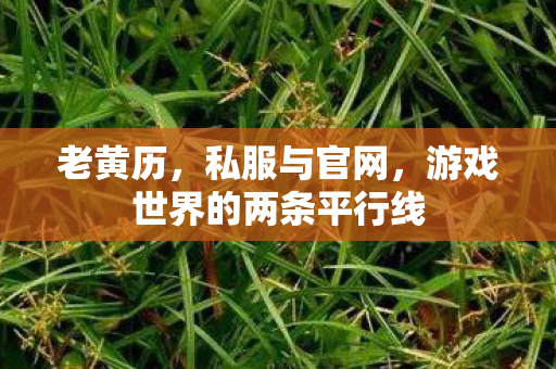 老黄历，私服与官网，游戏世界的两条平行线