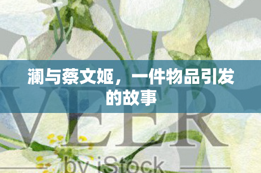 澜与蔡文姬，一件物品引发的故事