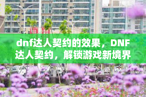 dnf达人契约的效果，DNF达人契约，解锁游戏新境界的钥匙