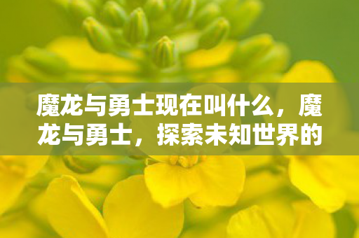 魔龙与勇士现在叫什么，魔龙与勇士，探索未知世界的奇幻之旅