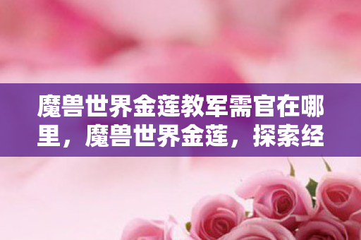 魔兽世界金莲教军需官在哪里，魔兽世界金莲，探索经典与传承的奇妙之旅