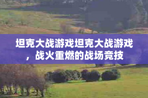 坦克大战游戏坦克大战游戏，战火重燃的战场竞技