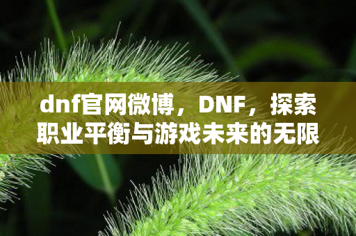 dnf官网微博，DNF，探索职业平衡与游戏未来的无限可能