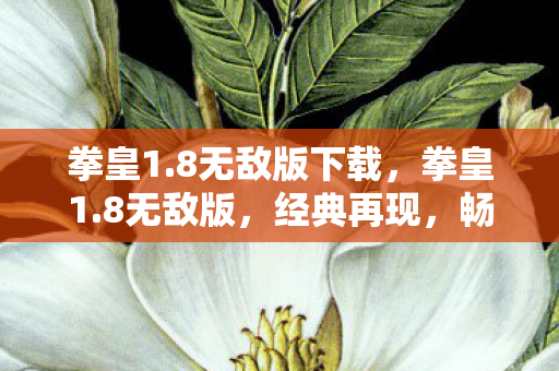 拳皇1.8无敌版下载，拳皇1.8无敌版，经典再现，畅享无限战斗乐趣