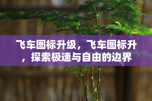 飞车图标升级，飞车图标升，探索极速与自由的边界